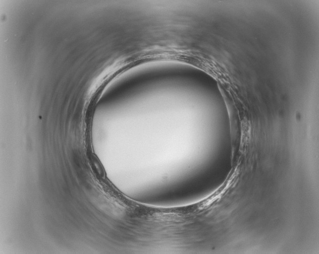 X0000060750150200511141208