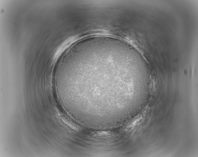 X0000060750151200511141208