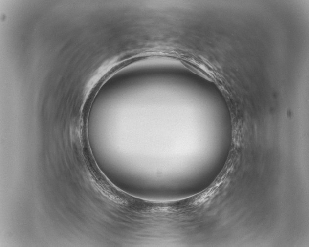 X0000060750152200511141208