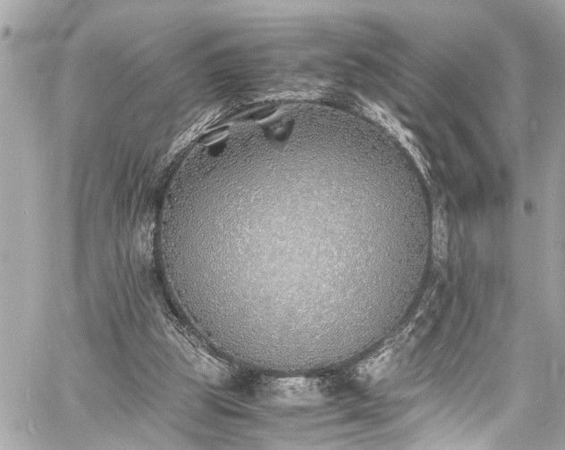 X0000060750153200511141208