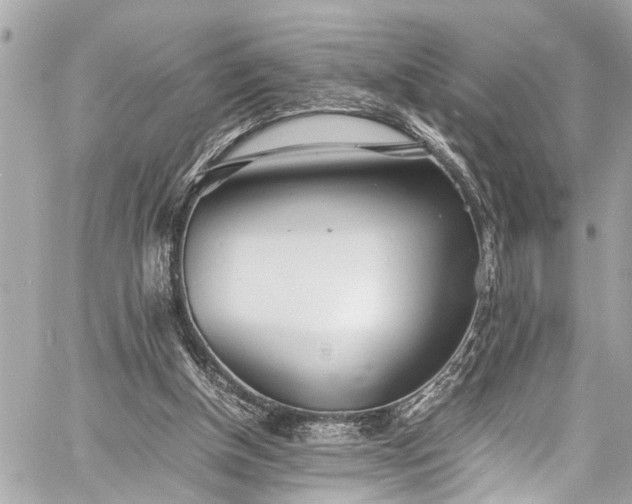 X0000060750154200511141208