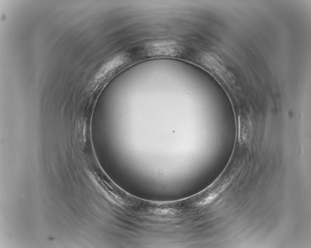 X0000060750157200511141208