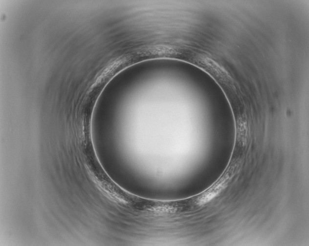 X0000060750158200511141208