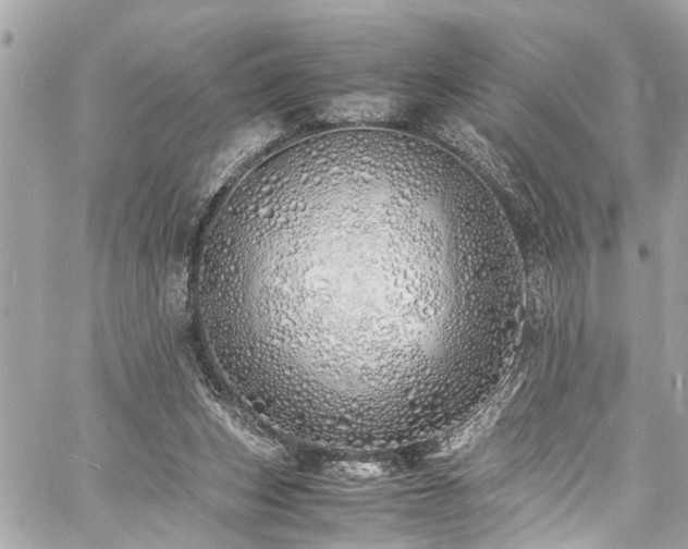 X0000060750159200511141208