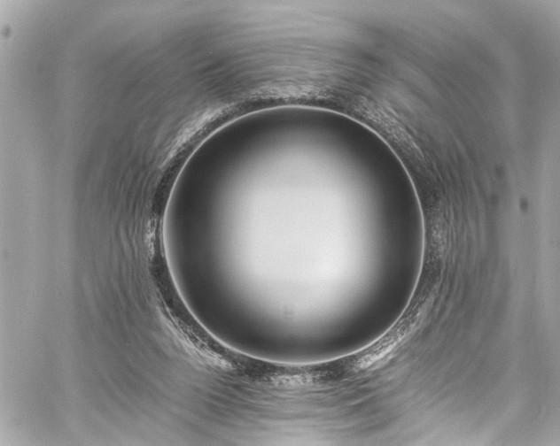 X0000060750160200511141208