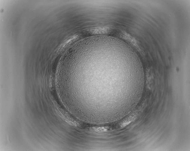 X0000060750161200511141208