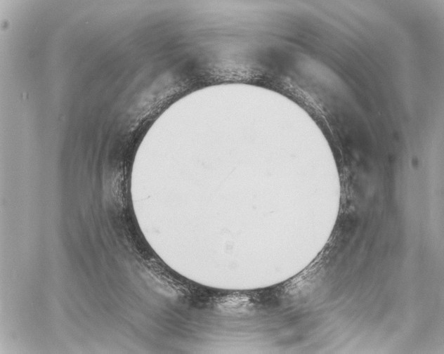 X0000060750162200511141208