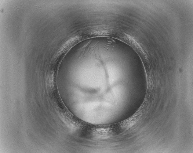 X0000060750163200511141208