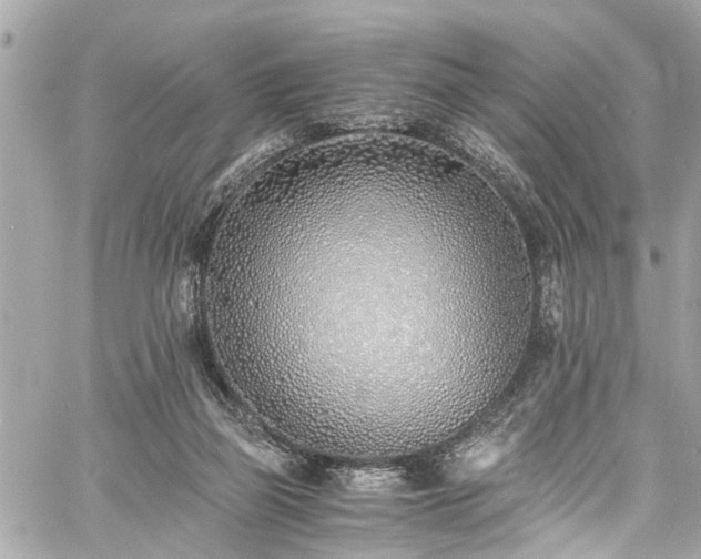 X0000060750165200511141208