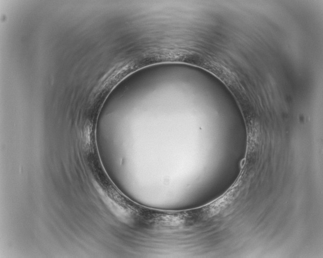 X0000060750166200511141208