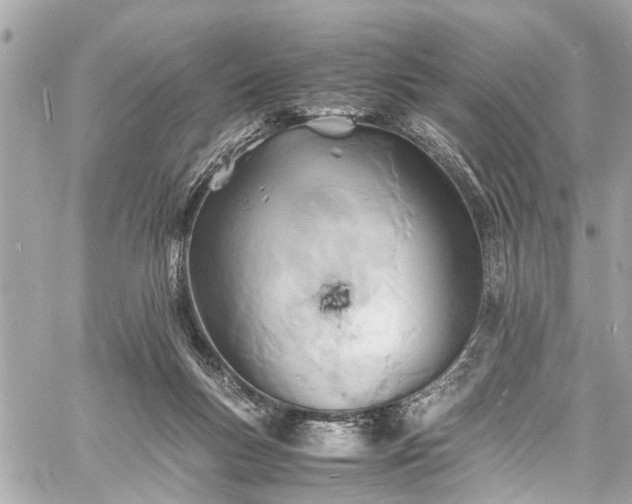 X0000060750167200511141208