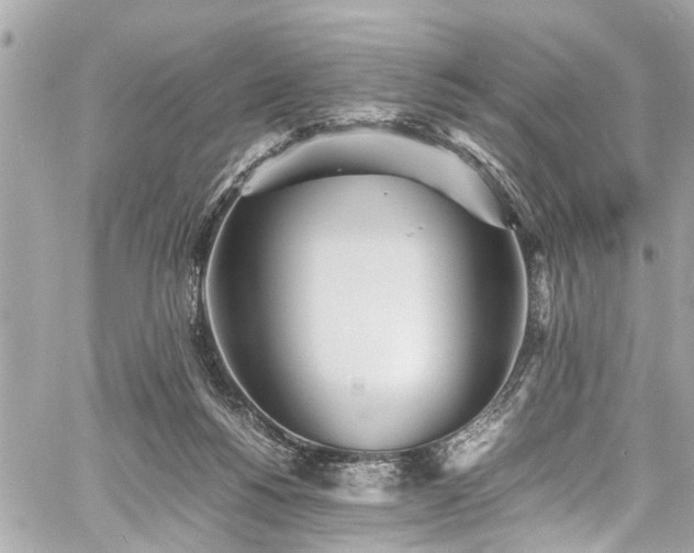 X0000060750168200511141208