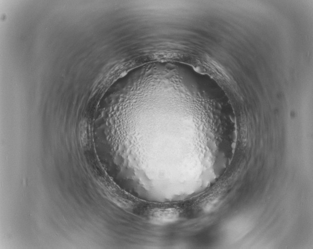 X0000060750169200511141208