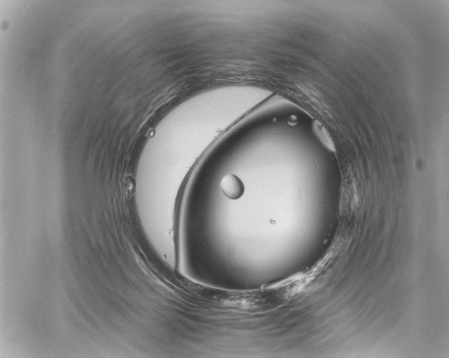 X0000060750171200511141208