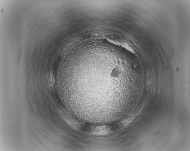 X0000060750173200511141208