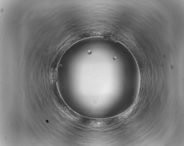 X0000060750174200511141208