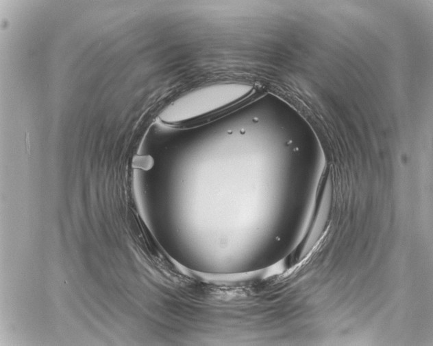 X0000060750175200511141208