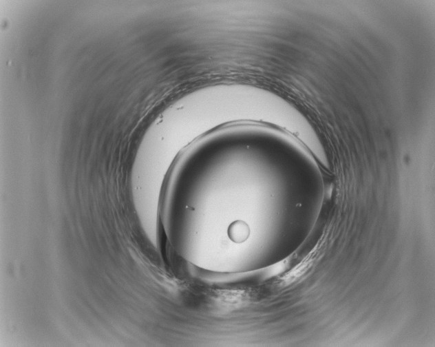 X0000060750176200511141208