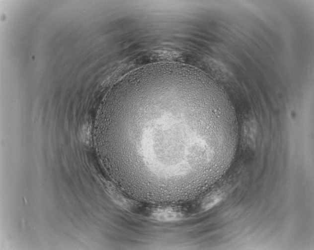 X0000060750177200511141208