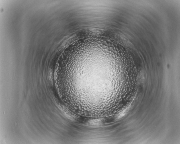 X0000060750178200511141208