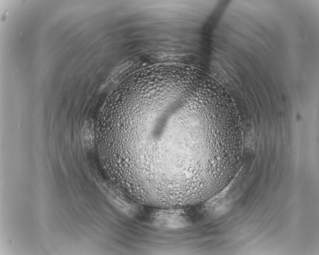 X0000060750179200511141208