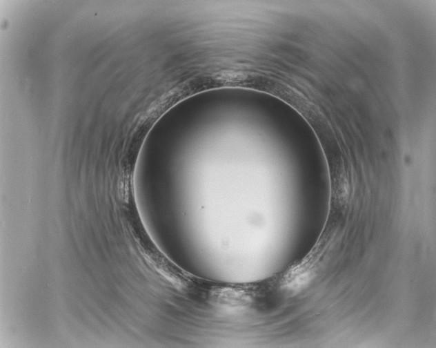 X0000060750180200511141208