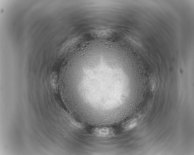 X0000060750181200511141208