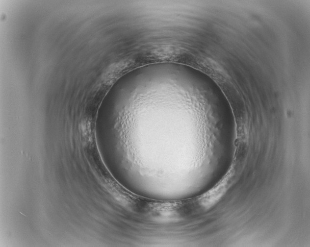 X0000060750182200511141208