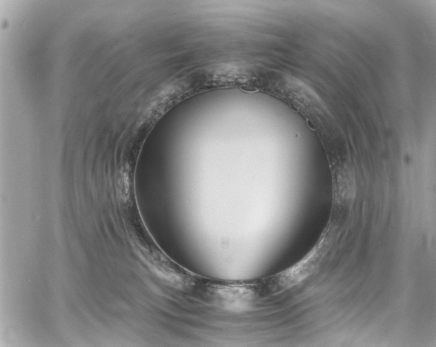 X0000060750183200511141208