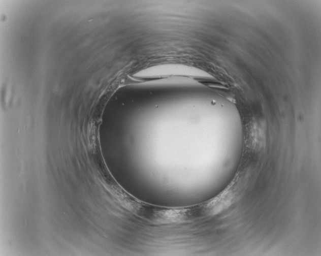 X0000060750184200511141208