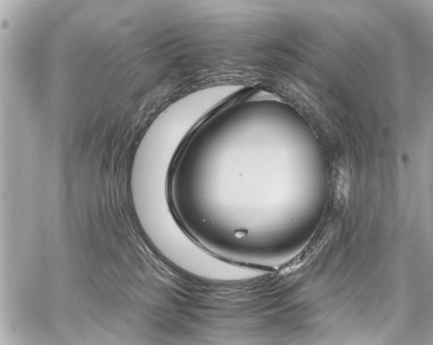 X0000060750185200511141208