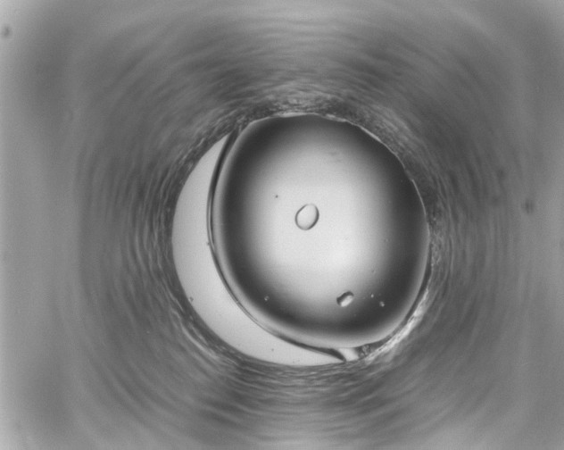 X0000060750186200511141208