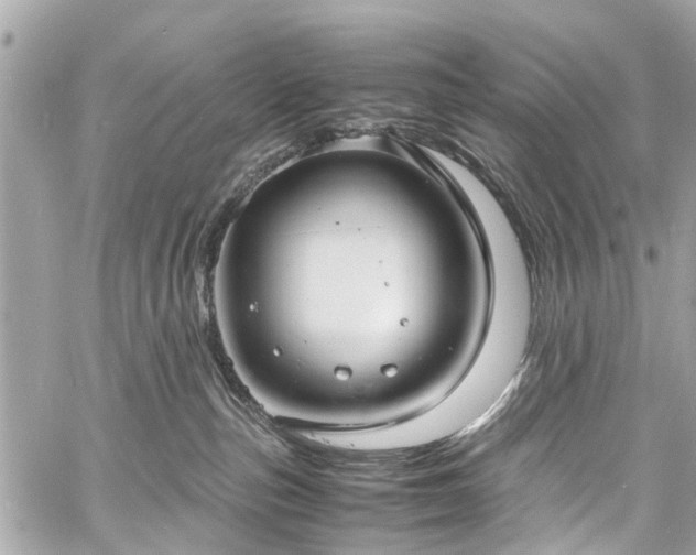 X0000060750187200511141208