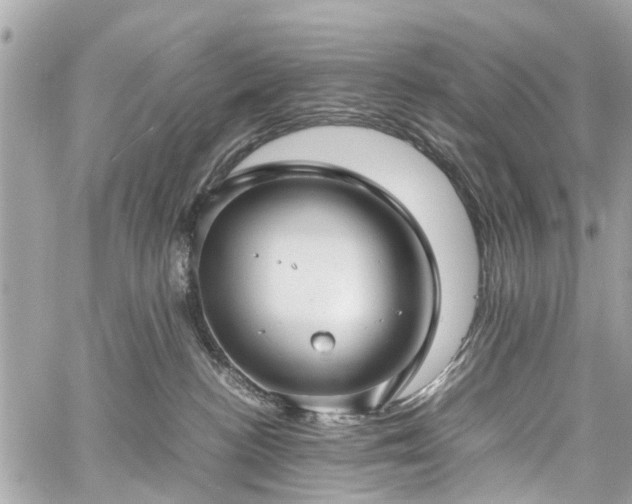 X0000060750188200511141208