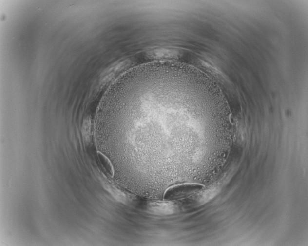 X0000060750189200511141208