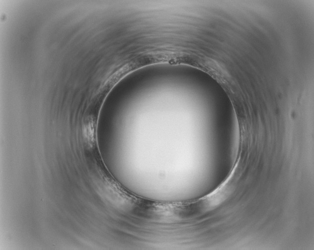 X0000060750190200511141208