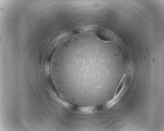 X0000060750191200511141208