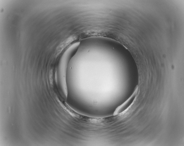 X0000060750192200511141208