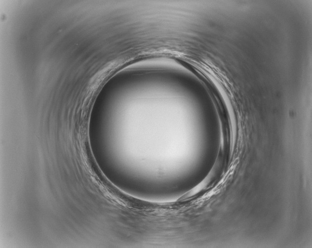 X0000060750193200511141208