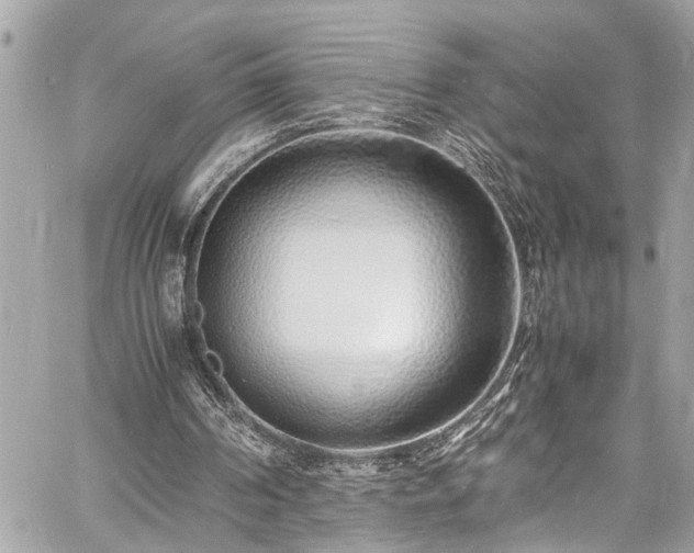 X0000060750194200511141208