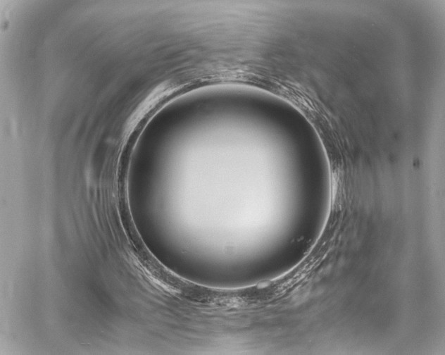 X0000060750195200511141208