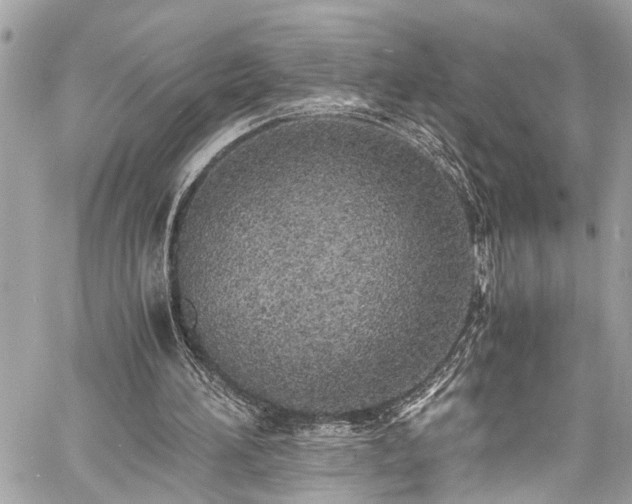 X0000060750196200511141208