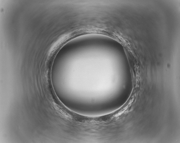 X0000060750197200511141208