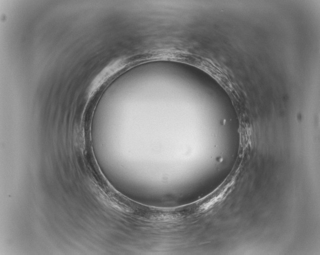 X0000060750198200511141208