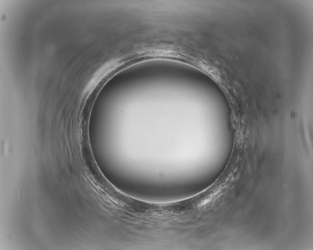 X0000060750199200511141208