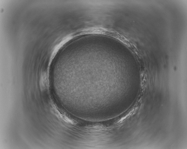 X0000060750200200511141208