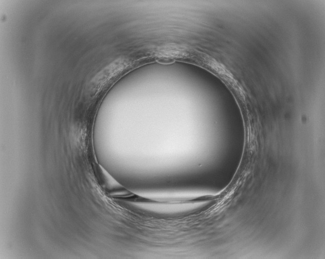 X0000060750201200511141207