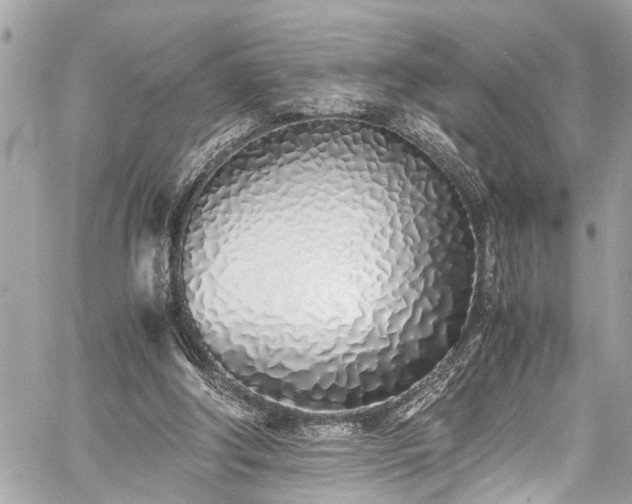 X0000060750202200511141207