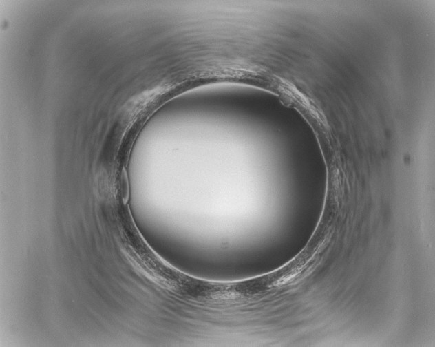 X0000060750203200511141207