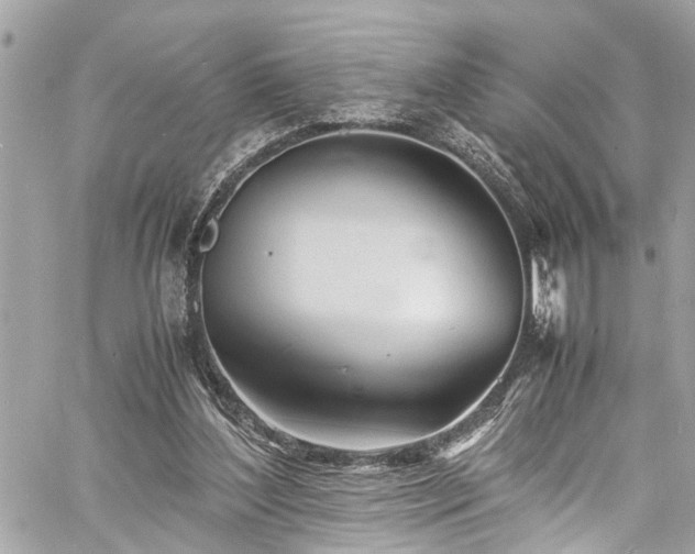 X0000060750204200511141207